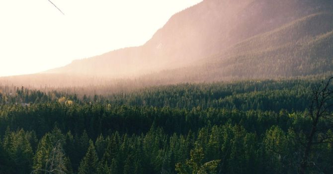 Osteopathic Manual Therapy